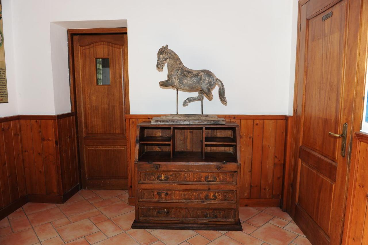 Torre Balzano B&B Valenzano Eksteriør billede